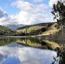 llac montcortés