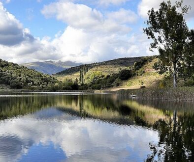 llac montcortés