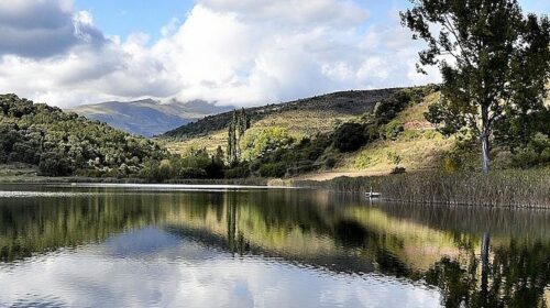 llac montcortés