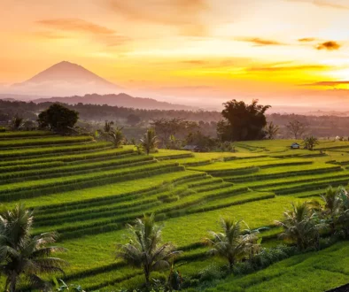 Jatiluwih-Rice-Terrace